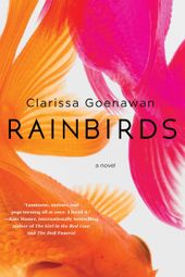 Rainbirds cover